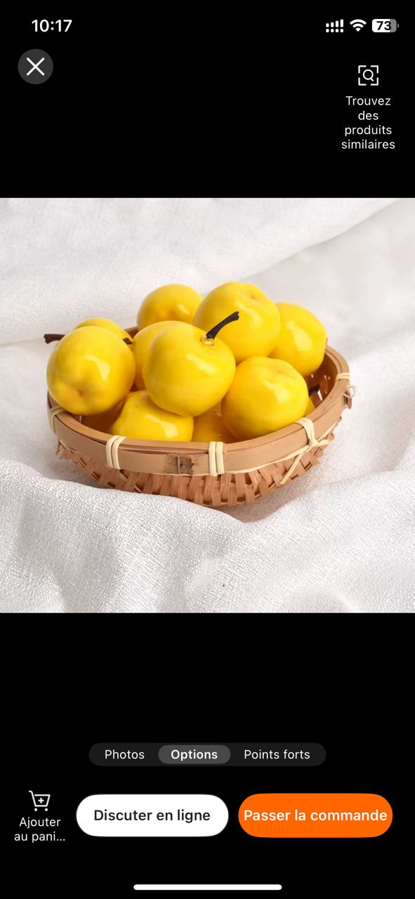 Assortiment de fruits décoratifs en plastique