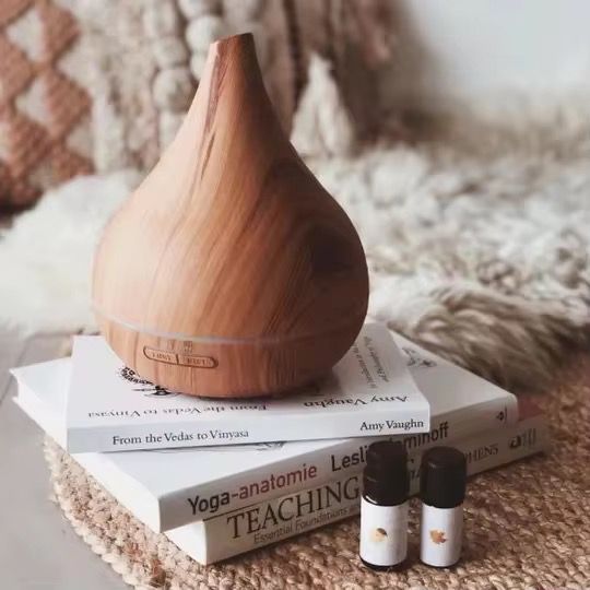 Diffuseur d'huiles essentielles