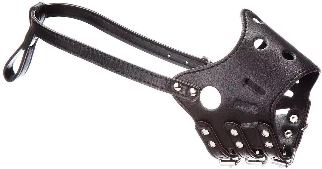 Muselière en cuir pour chien