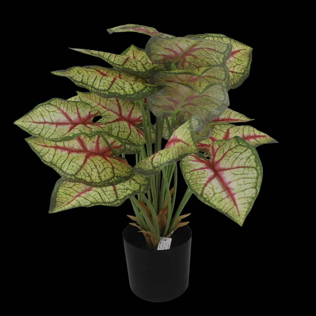 plante d’intérieur artificielle – Caladium en pot noir