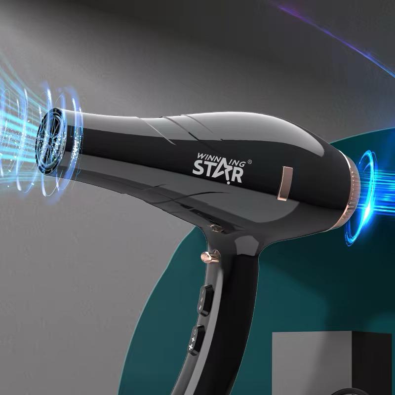 Sèche-cheveux Ionique Professionnel