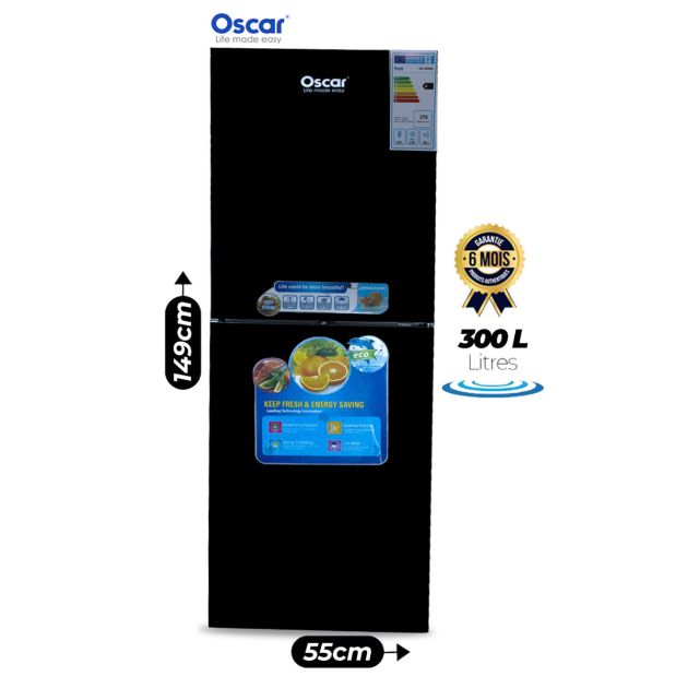 Réfrigérateur Double Battant OSCAR - 300 Litres - OSC 300MB - Classe climatique ST/T - Consommation énergétique A+ - Gris