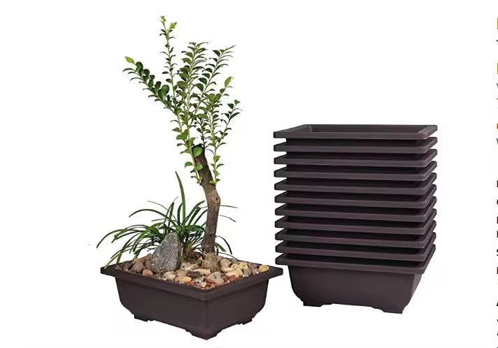 Lot de pots de pépinière