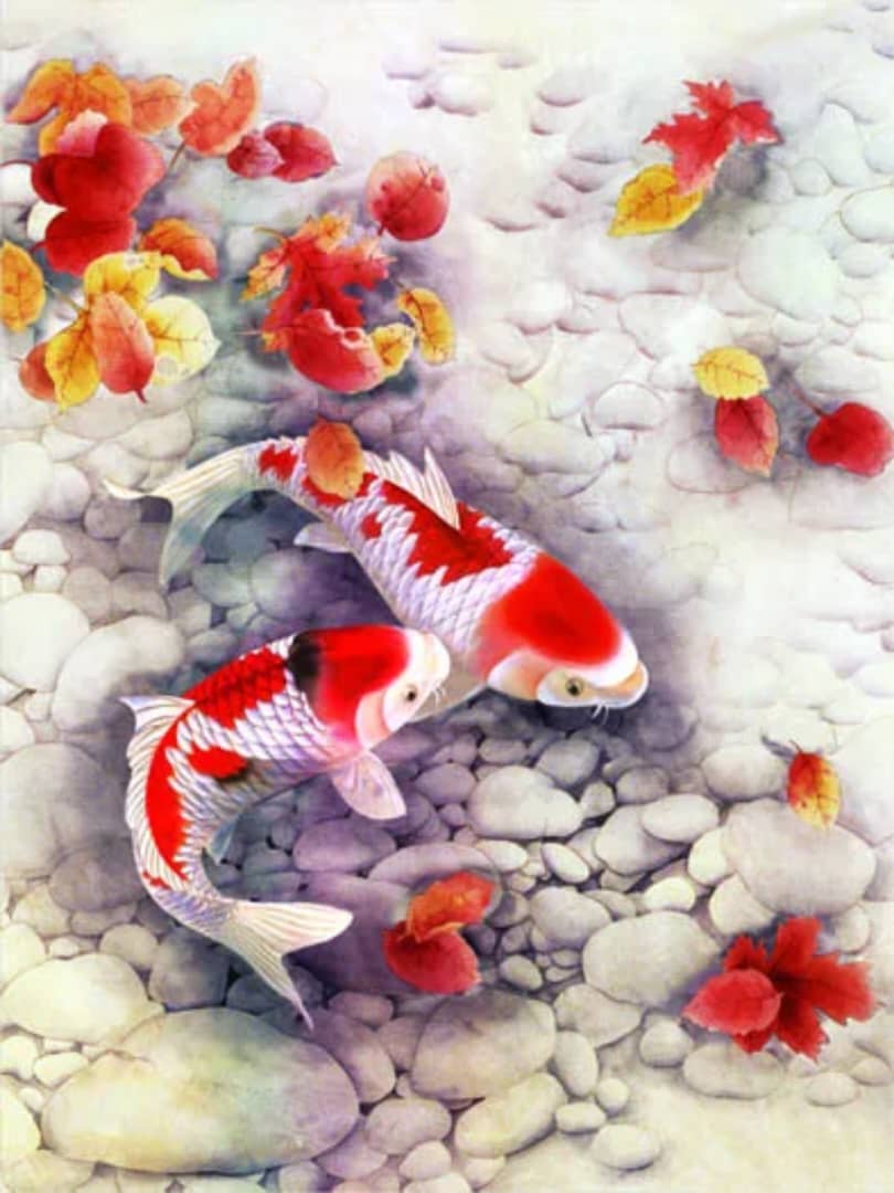 Tableau de carpes koi