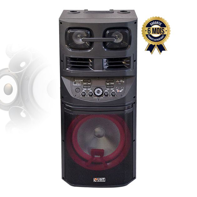 Haut-parleur Ubit - TR-124 - 100W - 06 mois de garantie En Stock