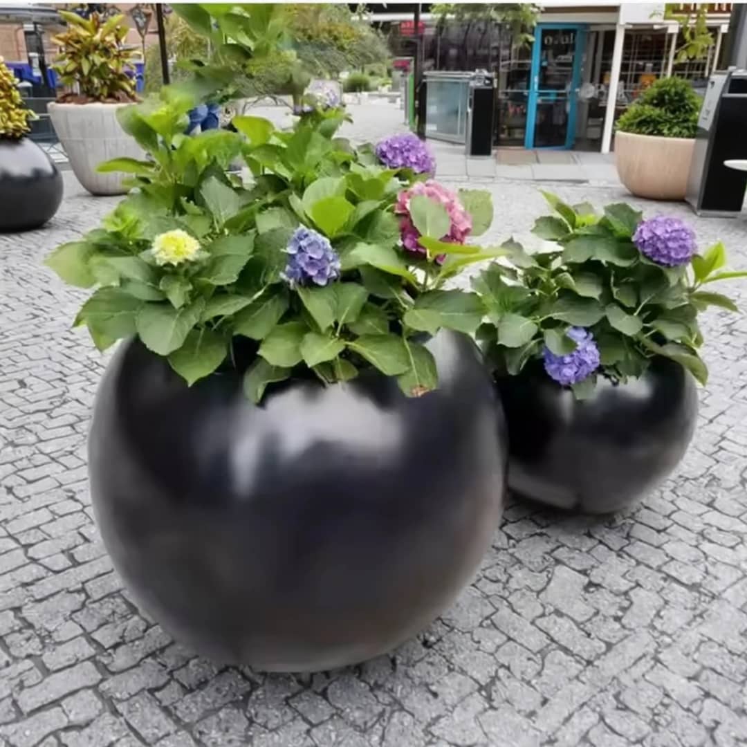 Maceta céramique noire avec succulentes