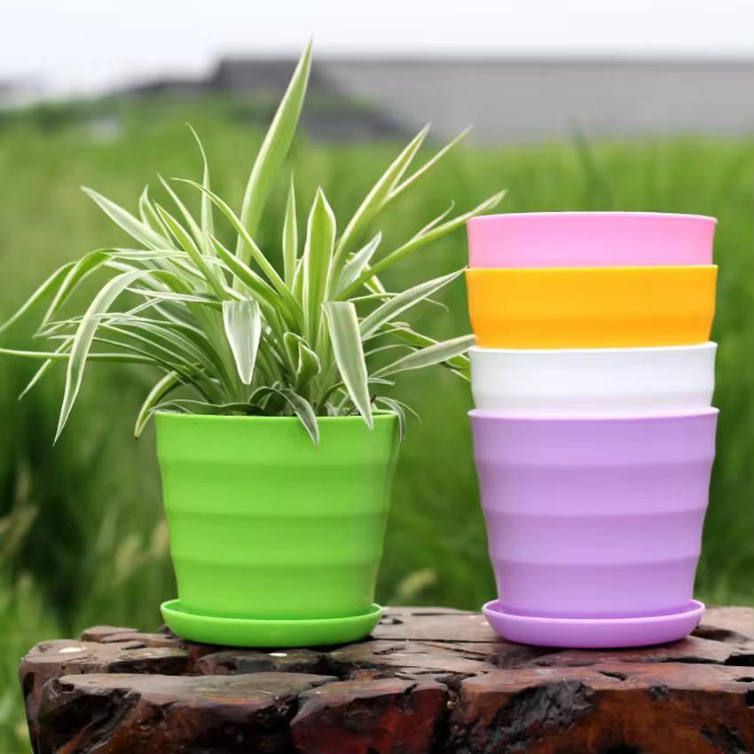 pot en plastiques pour plante