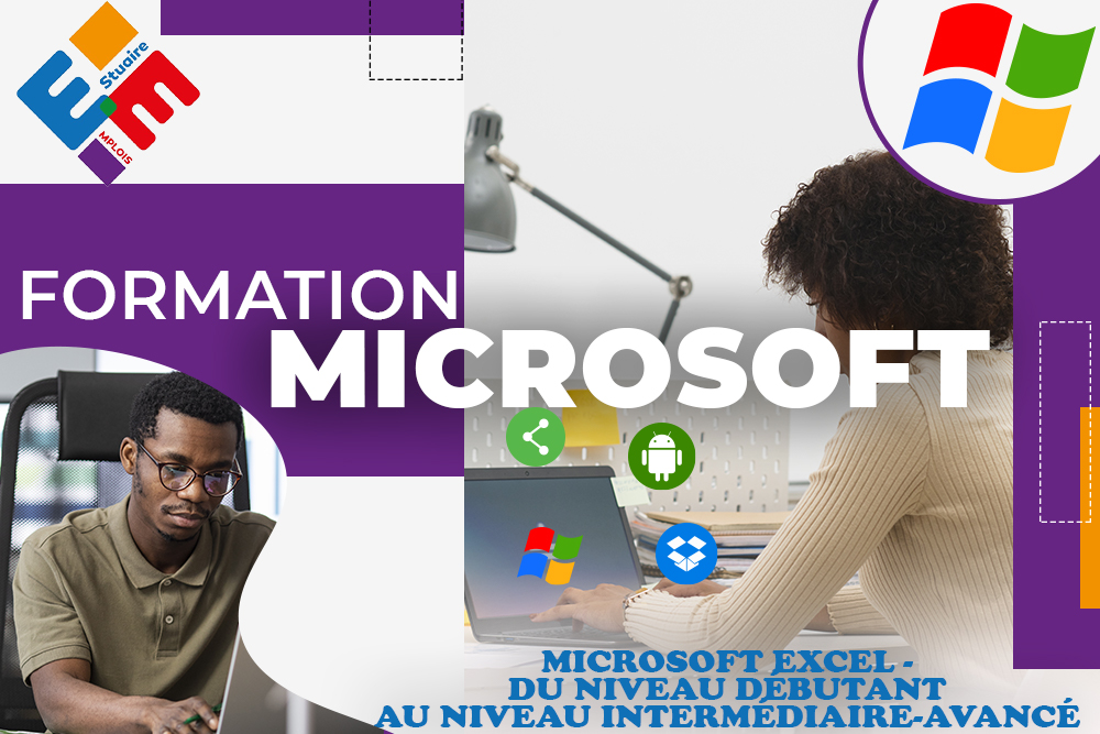 Microsoft excel - du niveau débutant au niveau intermédiaire-avancé