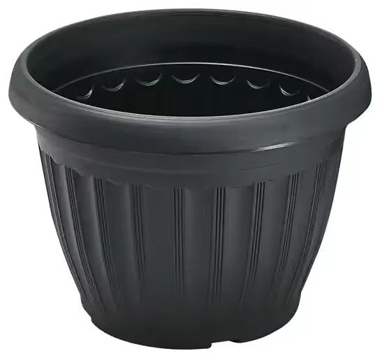 pot de fleur de plante de jardin