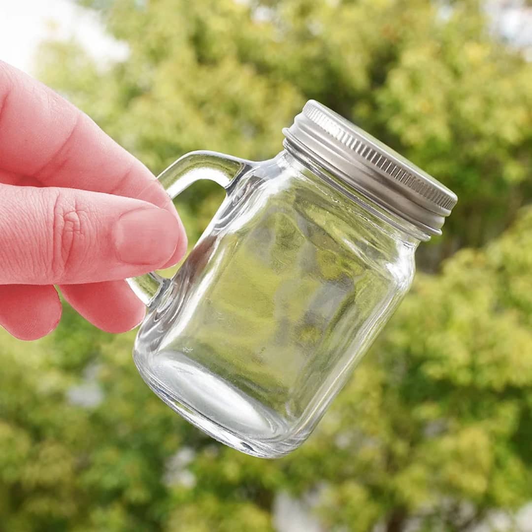 Bocaux en verre pour conservation