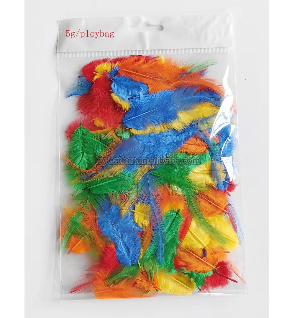 Plumes décoratives colorées – sachet de 5g