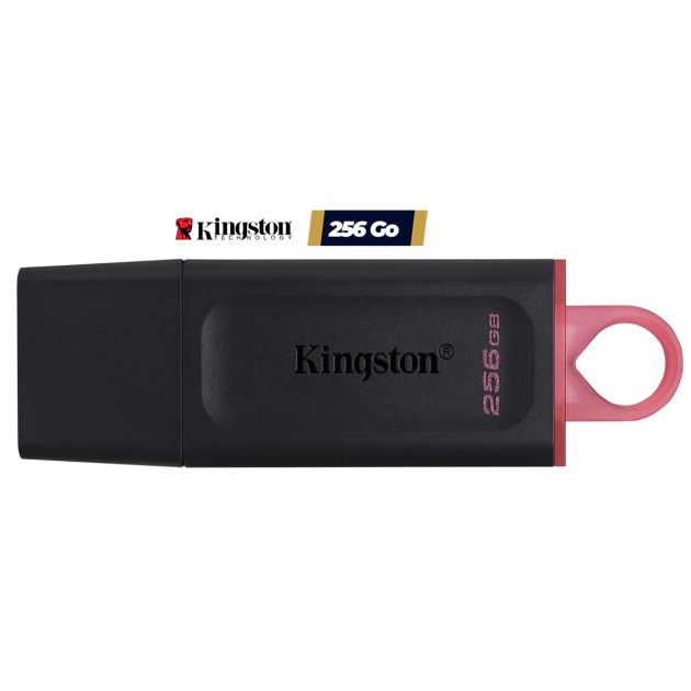 Clé Usb Kingston DataTraveler Exodia USB 256 GB USB TypeA 3.2 Gen 1