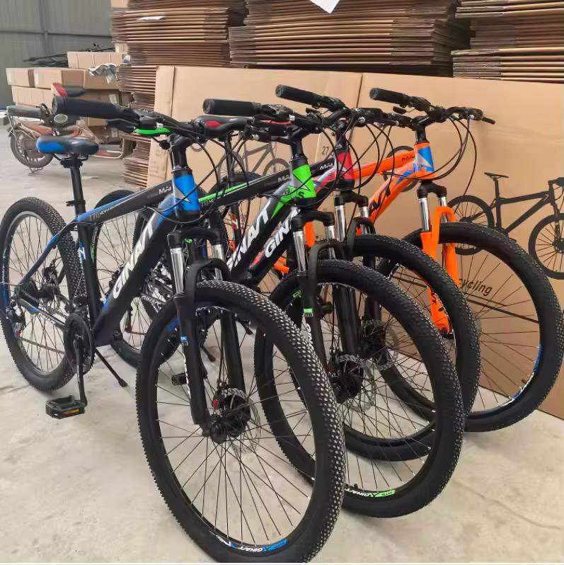 Vélo Tout-Terrain "TrailBlazer Sport"