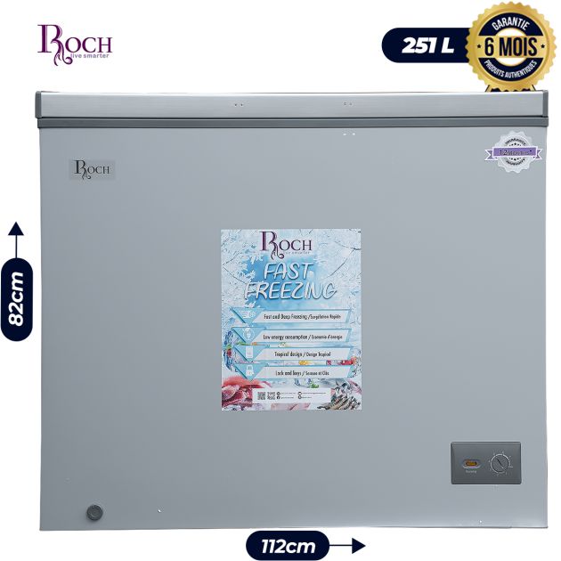 Congélateur Roch - RCF-300-B - 251 Litres - Gris