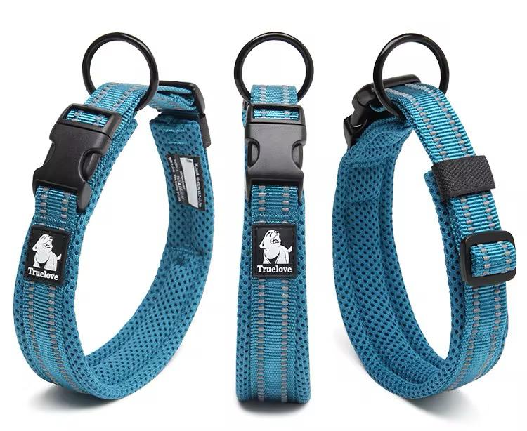 Collier réfléchissant pour chien Truelove