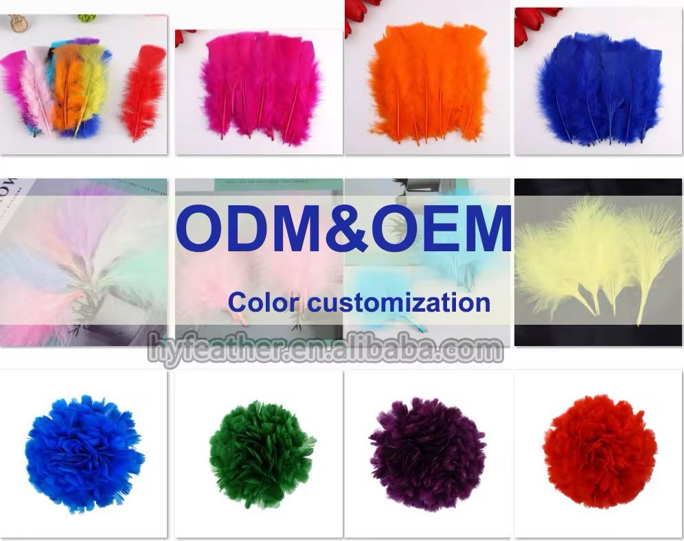 Plumes décoratives